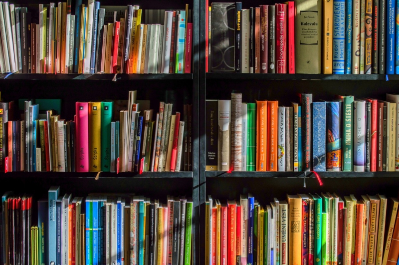 ecommerce-SOLLIES TOUCAS-min_books_bookstore_book_reading_shop_writer_sale_books_read-822866